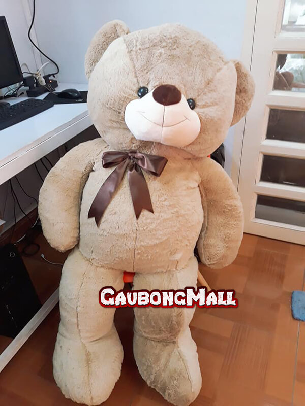 gấu teddy 1m4 giá rẻ