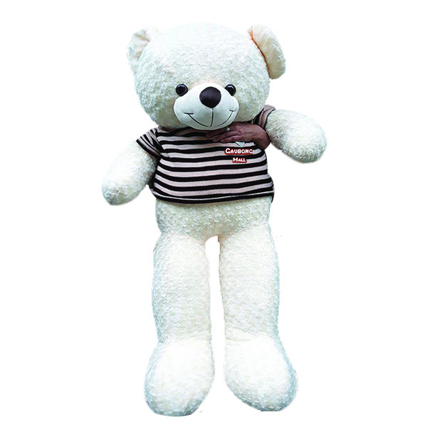 Gấu teddy 1m6 màu trắng