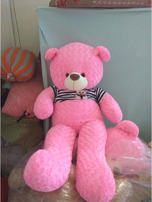 Gấu Teddy màu hồng
