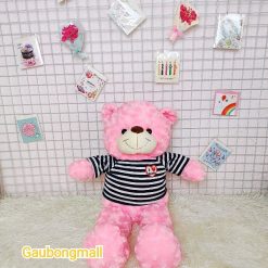 gấu teddy 80cm màu hồng