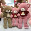 gấu teddy áo len love