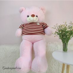 Gấu teddy lông mịn hồng