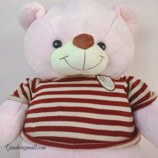 teddy lông mịn hồng