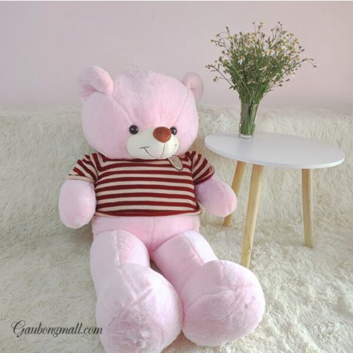 Gấu teddy lông mịn hồng