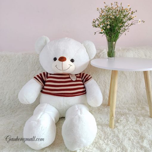 Gấu teddy lông mịn trắng tuyết áo len