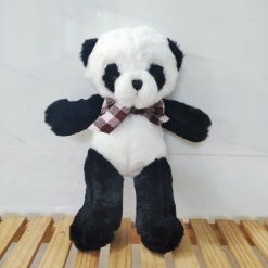 panda đứng